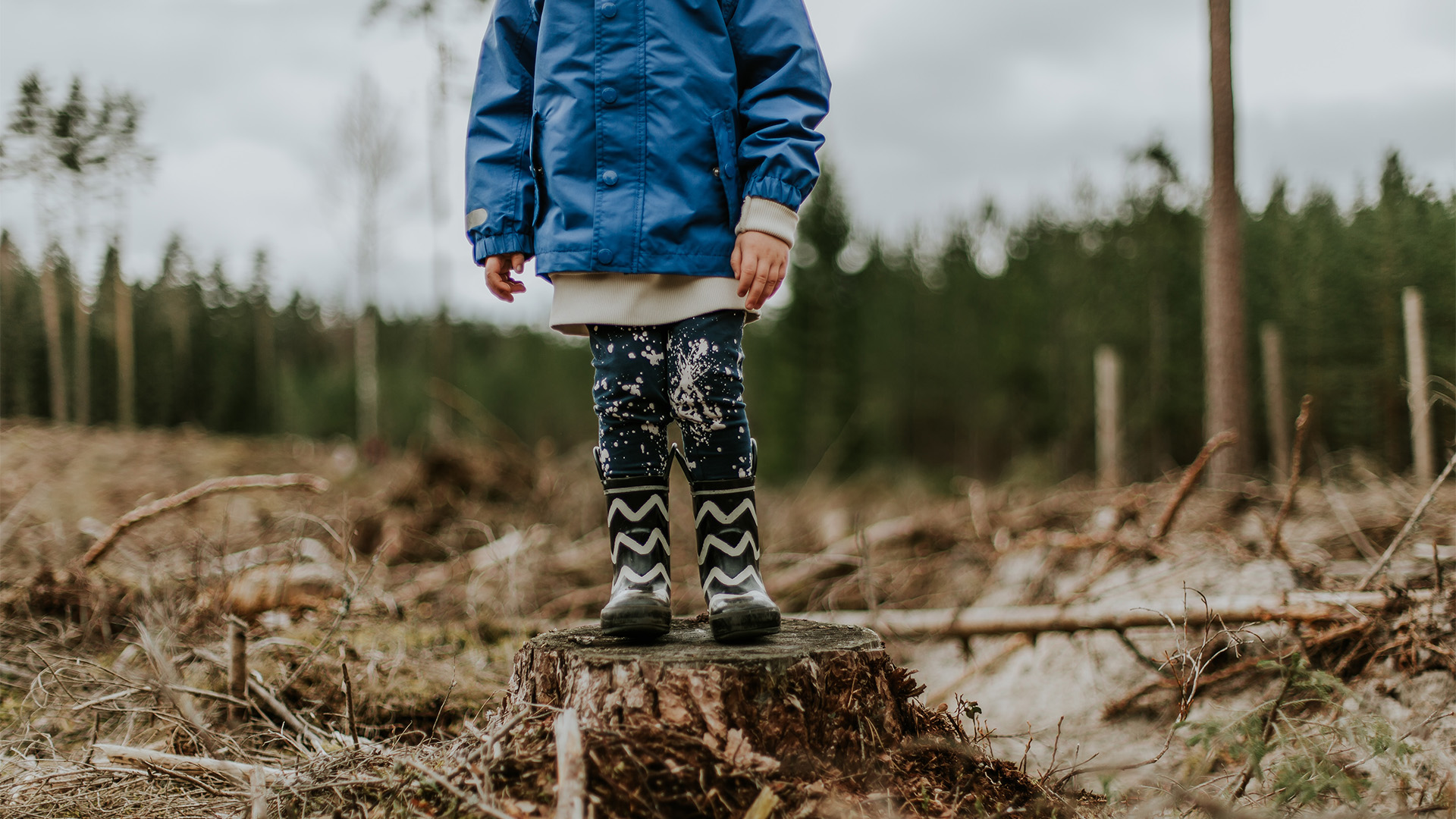 Creating Lasting Memories: Unforgettable Forest School Adventures and Bonding with Nature