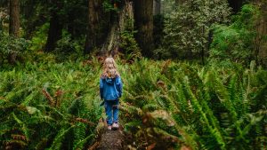 How Nature Boosts Children's Emotional Well-being