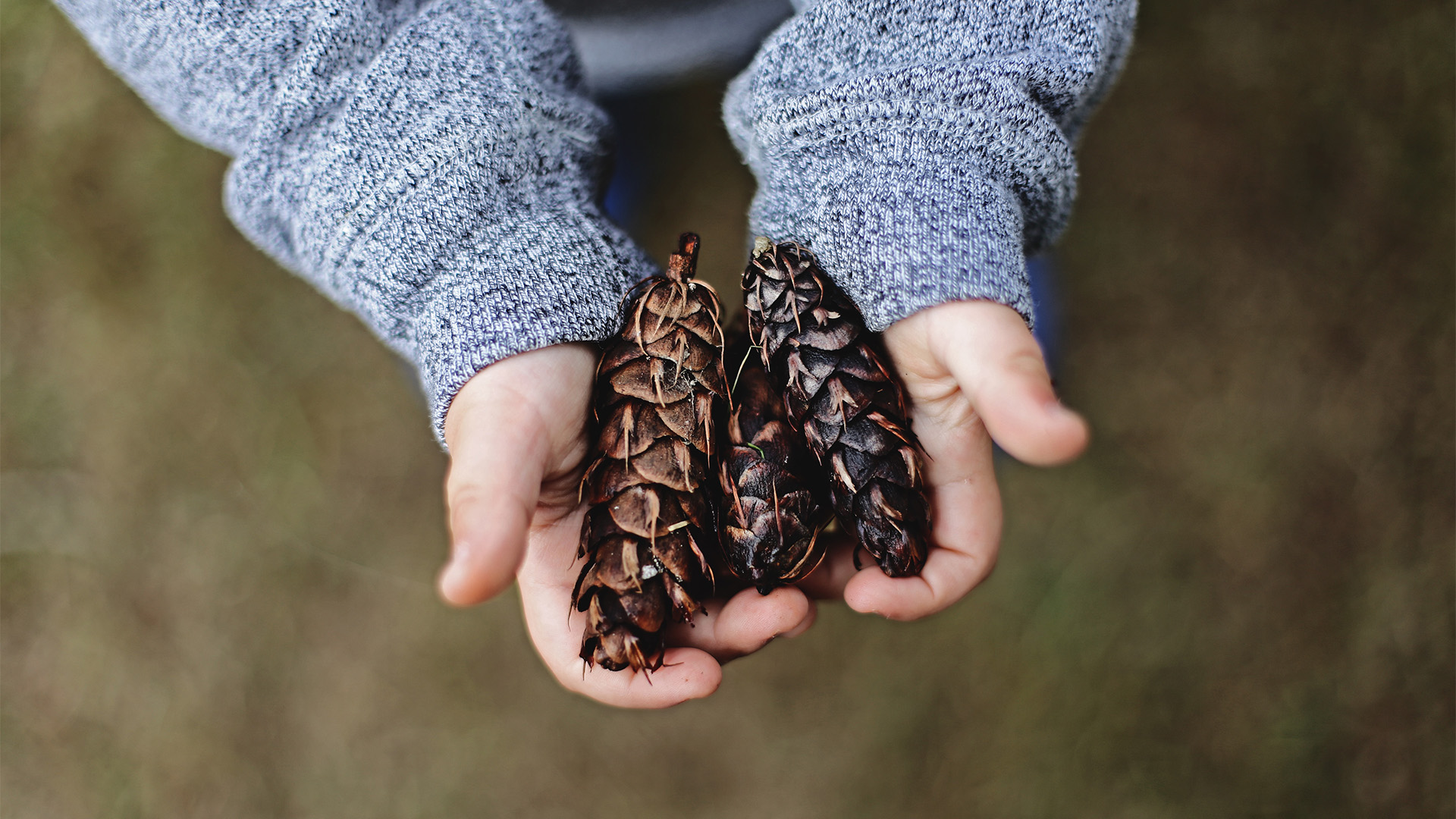 Nurturing Independence while Prioritising Child Well-being