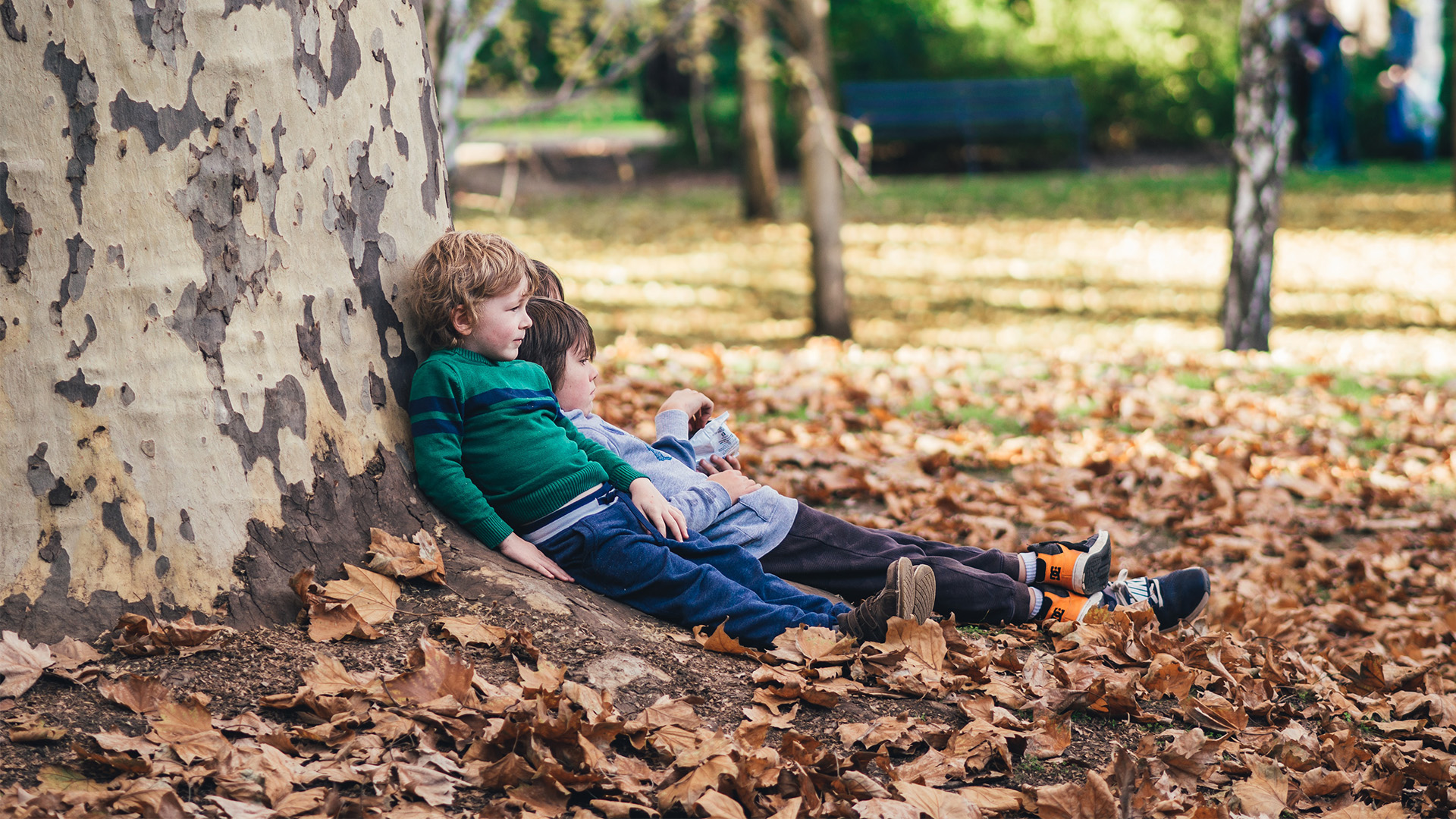 Exploring the Benefits of Forest School: Empowering Children's Social Skills and Self-Confidence