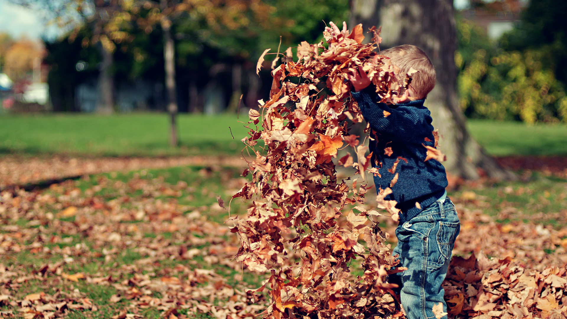 HOW FOREST SCHOOL ENHANCES CHILDREN’S LEARNING AND DEVELOPMENT