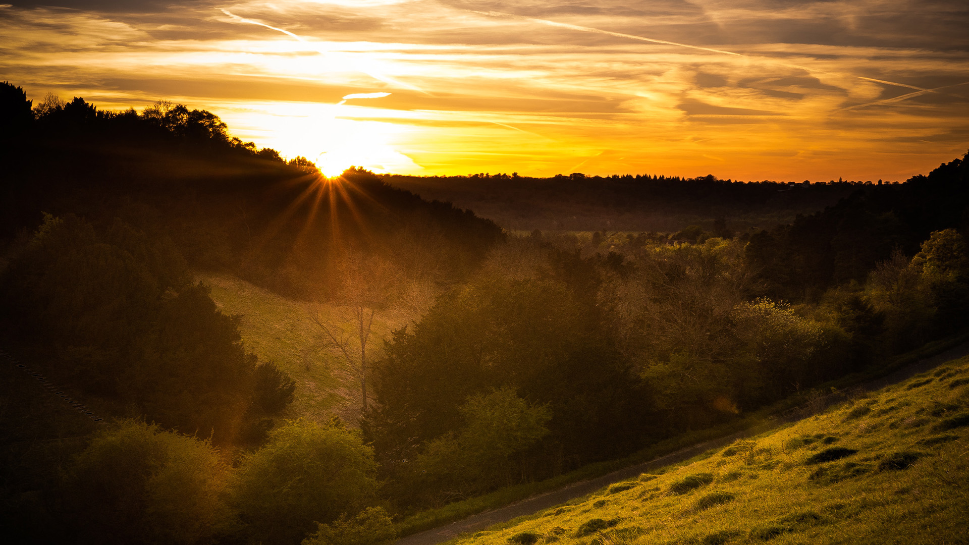 The 10 Best Places in Surrey to Walk with Young Children - Box Hill