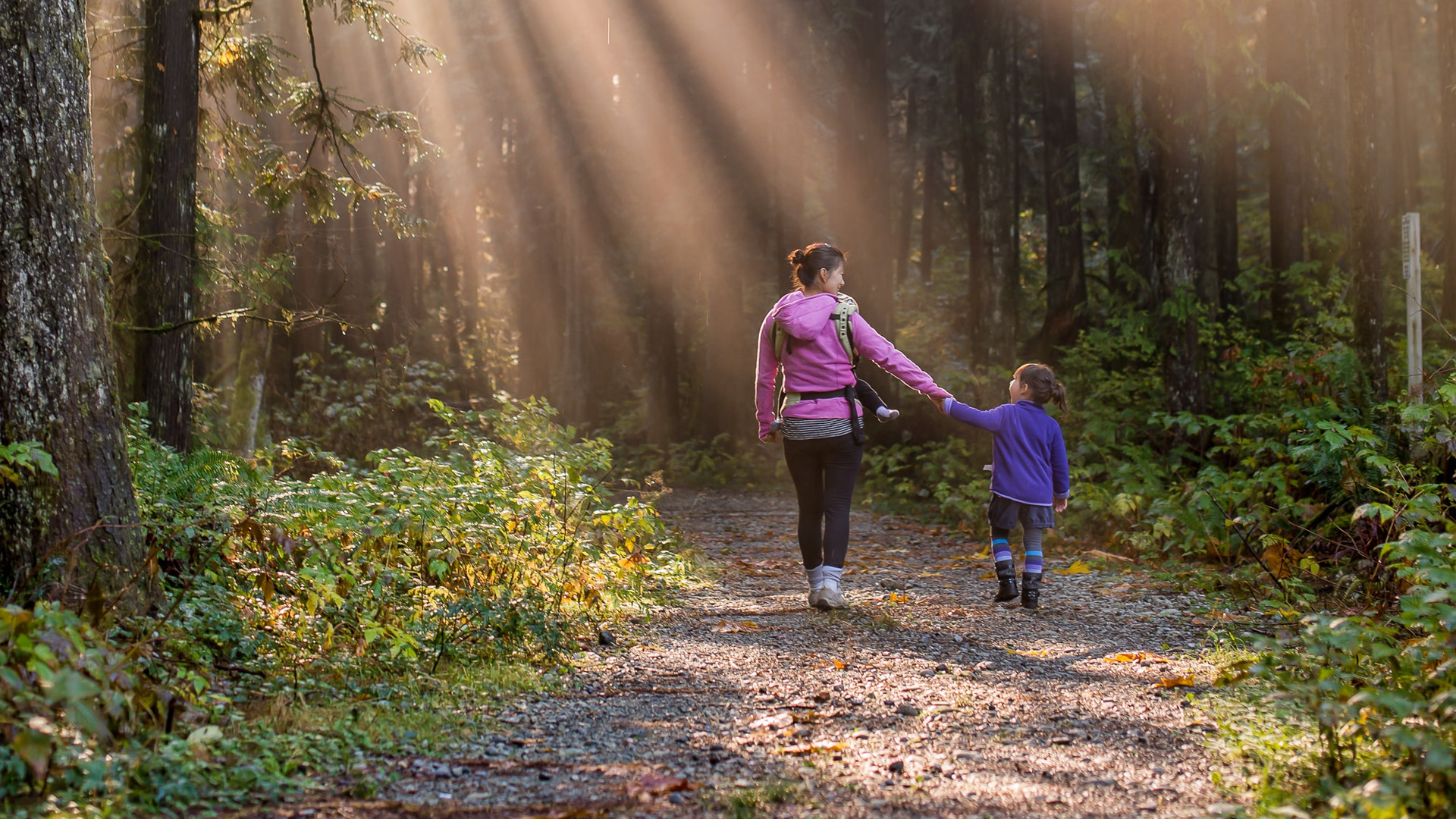 Forest Bathing for Families: The Healing Power of Nature Walks with Preschoolers