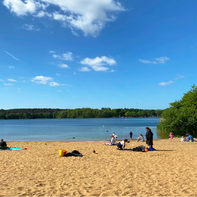 Frensham Common and Frencham Pond